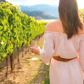 How much do you tip a wine tour guide?